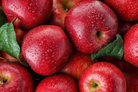 Elmanın Sağlığa Faydaları