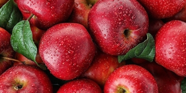 Elmanın Sağlığa Faydaları