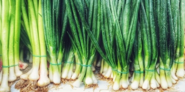 Yeşil Soğanın Faydaları
