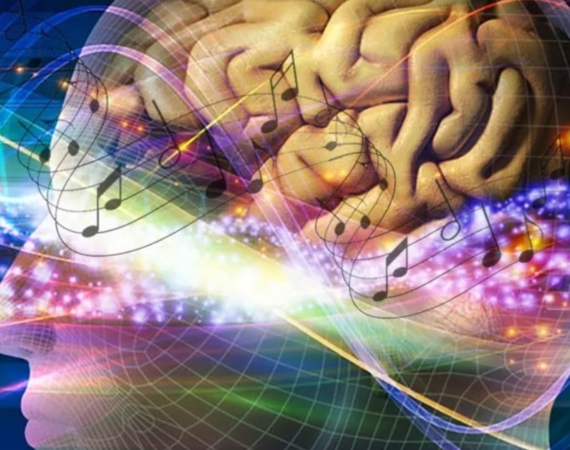 Anadolu Sifasi Neden Onemli