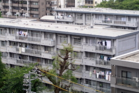 Apartman binası ve ortak yaşam alanı