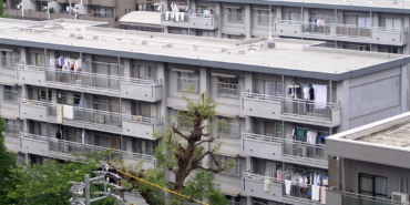 Apartman binası ve ortak yaşam alanı
