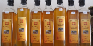 Argan yağı ve argan meyveleri
